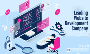 Web Development Company in India